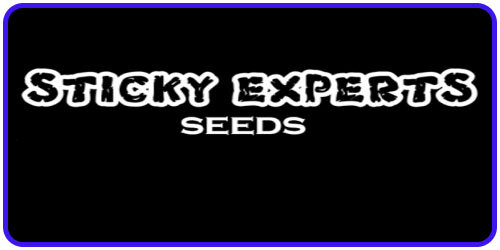 Sticky Experts