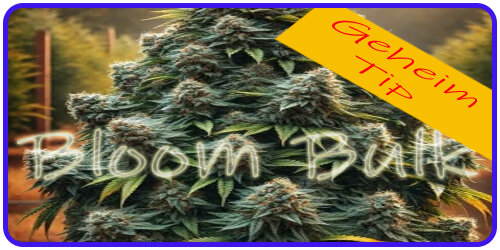 Bulk Seeds