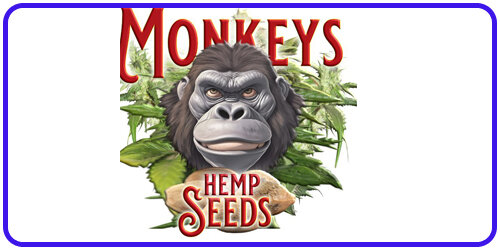 Monkey Seeds