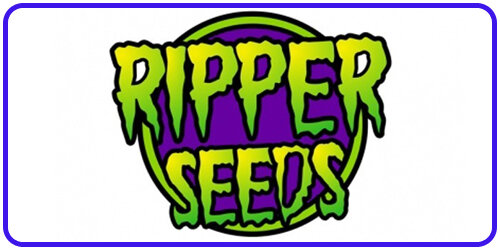 Ripper Seeds