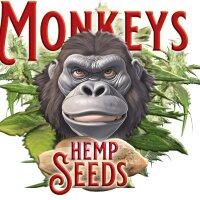 Monkey Seeds