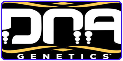 DNA Genetics