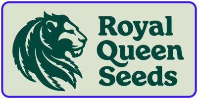 Royal Queen Seeds