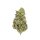 Royal Queen Seeds Amnesia Haze Fem. 3St.