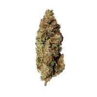 Royal Queen Seeds Royal Runtz Fem. 3St.