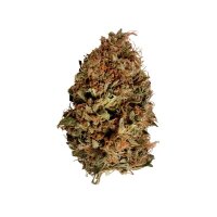 Royal Queen Seeds Stress Killer Automatic CBD Fem. 3St.