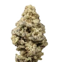 Growers Choice Mac N Cheese Fem 3St.