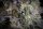 Paradise Seeds Gulupa Fem 3St.