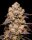Cookies Seeds Dried Fruit Fem 3St.
