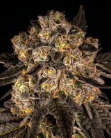 Cookies Seeds Cherry Fritter Fem 3St.