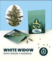 White Widow Automatic 3 Stk.