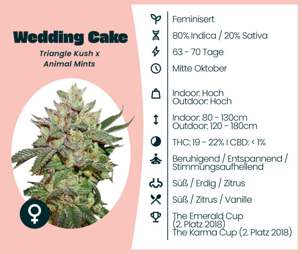 Wedding Cake 3 Stk.