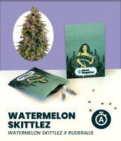 Watermelon Zkittlez Automatic 3 Stk.