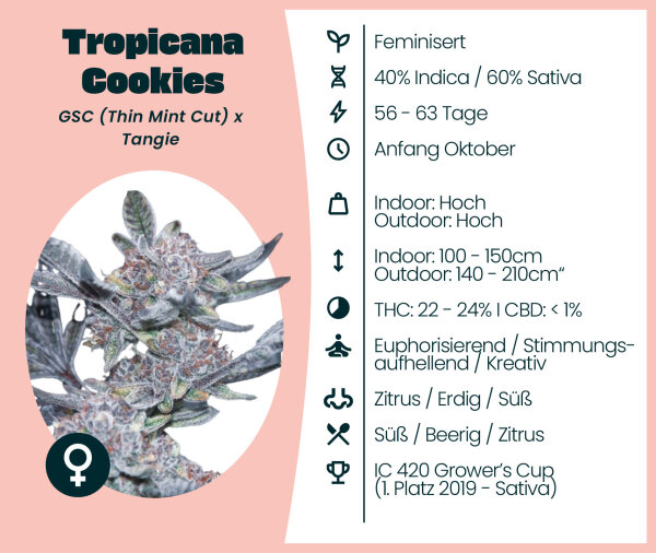 Tropicana Cookies 3 Stk.