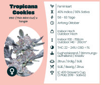 Tropicana Cookies 3 Stk.