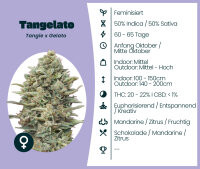 Tangelato Seedsupplier 3 Stk.