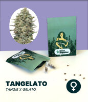 Tangelato Seedsupplier 3 Stk.