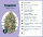 Tangelato Seedsupplier 3 Stk.