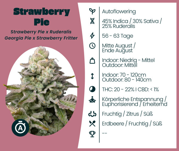 Strawberry Pie Automatic 3 Stk.