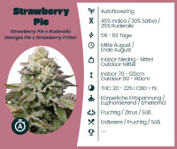 Strawberry Pie Automatic 3 Stk.
