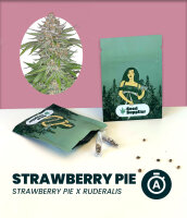 Strawberry Pie Automatic 3 Stk.