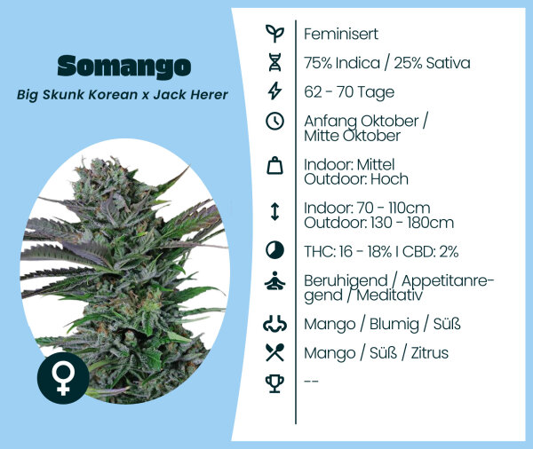 Somango 3 Stk.