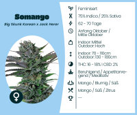 Somango 3 Stk.