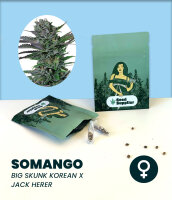 Somango 3 Stk.