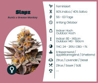 Slapz 3 Stk.