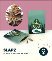Slapz 3 Stk.