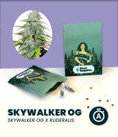 Skywalker OG Automatic 3 Stk.