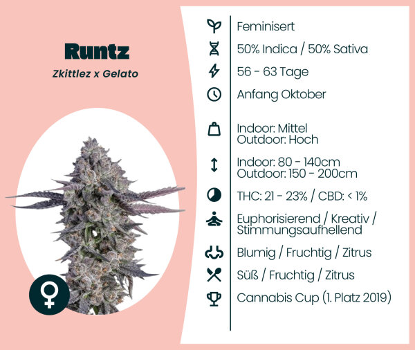 Runtz 3 Stk.