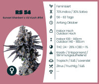 RS 54 - 3 Stk.