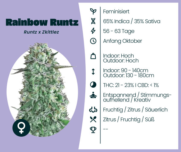 Rainbow Runtz 3 Stk.