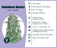 Rainbow Runtz 3 Stk.