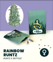 Rainbow Runtz 3 Stk.