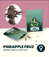 Pineapple Fruz 3 Stk.