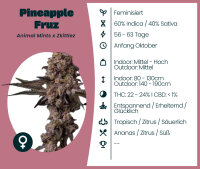 Pineapple Fruz 3 Stk.