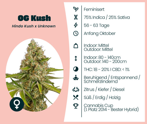 OG Kush 3 Stk.