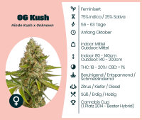 OG Kush 3 Stk.