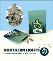 Northern Lights Automatic 3 Stk.