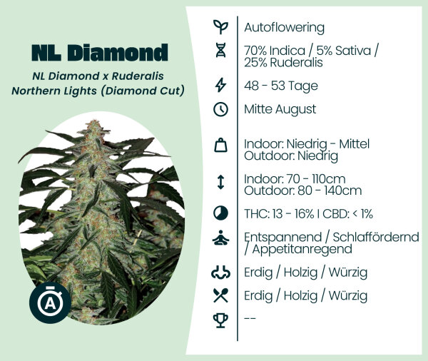 NL Diamond Automatic 3 Stk.