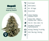 Nepali 3 Stk.