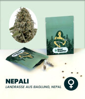 Nepali 3 Stk.
