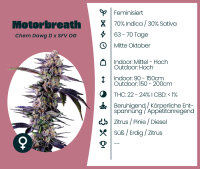 Motorbreath 3 Stk.