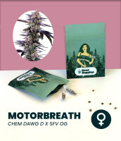 Motorbreath 3 Stk.
