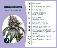 Moon Runtz 3 Stk. Seedsupplier