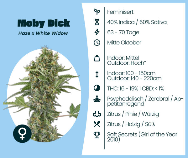 Moby Dick 3 Stk. Seedsupplier