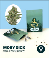 Moby Dick 3 Stk. Seedsupplier