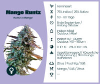 Mango Runtz 3 Stk. Seedsupplier